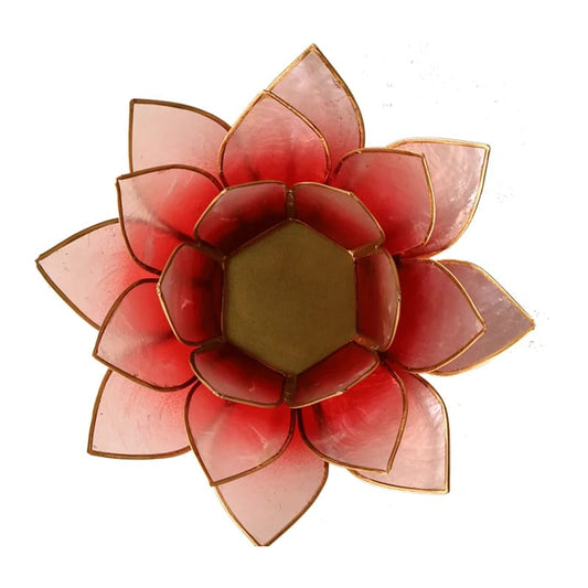 Lotus sfeerlicht rood/roze goudrand Capiz schelpen