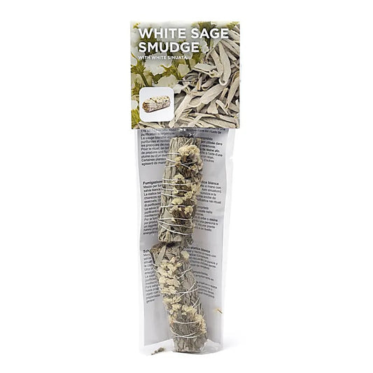 White Sage Smudge with White Sinuata | Set of 2 | Amstercharmed