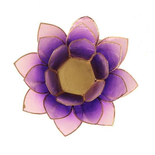 Lotus sfeerlicht violet goudrand Capiz schelpen