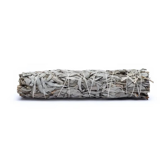 White Sage Smudge Bundle XL | Set of 6 in Basket