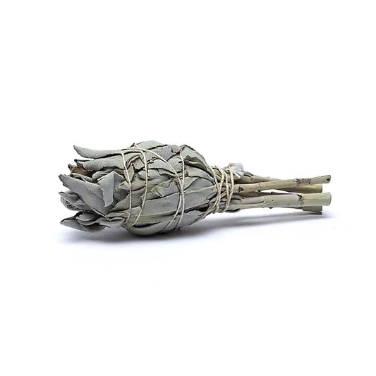 White Sage Smudge Torch | Set of 3 | Amstercharmed