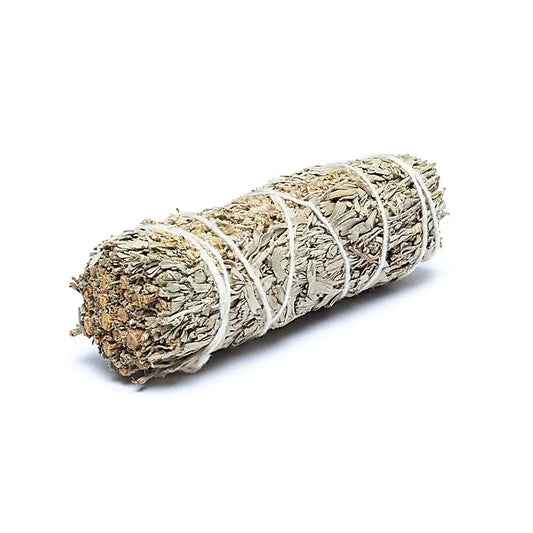 Blue Sage Smudge (Shasta Sage) | Set of 2 (S) | Amstercharmed
