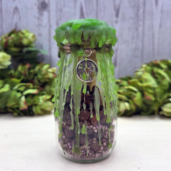 Luck Intention Jar Kit – Ritual for Opportunities & Positive Flow | Amstercharmed